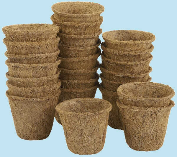 Techniques for Sowing Palm Seeds - Biodegradable Coconut Palm Pulp Seed Starter Tray Pots
