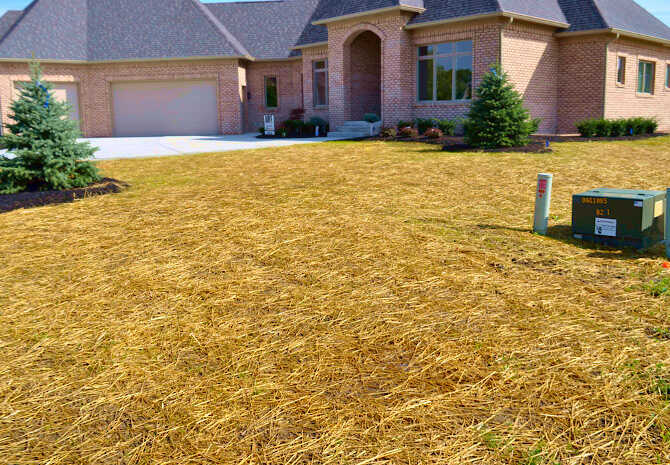 Αχυροκάλυψη Νεοσπαρθέντος Χλοοτάπητα