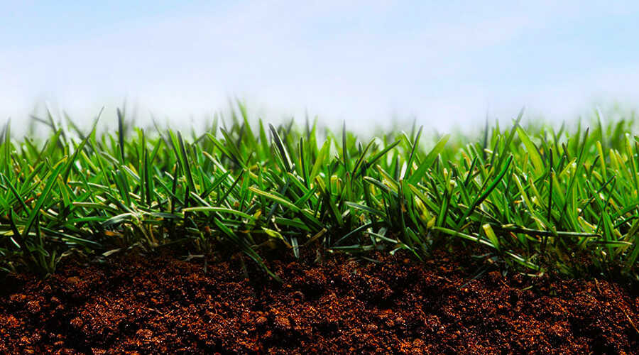 Κατάλληλο Έδαφος για Σπορά Γκαζόν - Υγιέστατος Χλοοτάπητας Πάνω σε Κατάλληλο Έδαφος