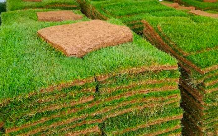 Προκαλλιεργημένος Χλοοτάπητας για τον Κήπο σε Τεμάχια