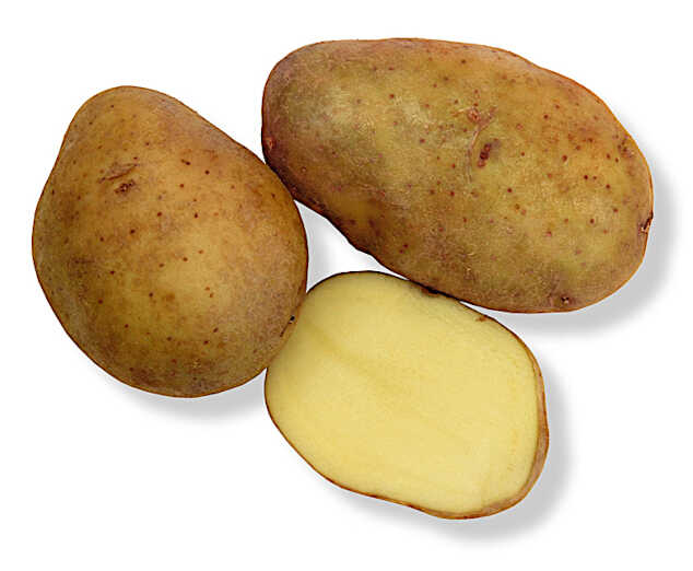 Planting Potatoes in Vegetable Garden - The Spunta Variety of Irish Potato