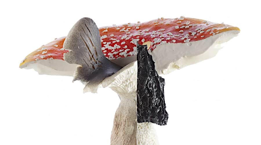 Τριπλός Υβριδικός Πίλος ενός από τα Γλυπτά Μανιτάρια του Κάρστεν Χέλερ