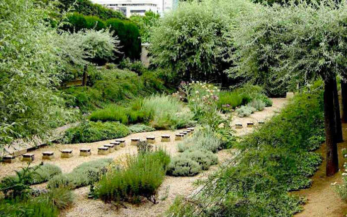 Ο Ασημένιος Κήπος από τον Πλαϊνό Διάδρομο