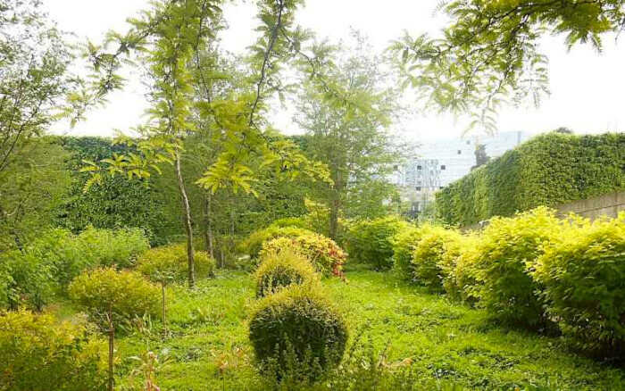 Ευρισκόμενοι στο Εσωτερικό του Χρυσού Κήπου