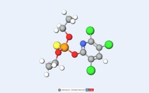 Chlorpyrifos 3D Molecule, One of the Organophosphate Pesticides