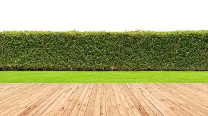 &Phi;&upsilon;&tau;&iota;&kappa;&omicron;ί &Phi;&rho;ά&chi;&tau;&epsilon;&sigmaf; - &Phi;&rho;ά&chi;&tau;&eta;&sigmaf; &Sigma;&chi;ή&mu;&alpha;&tau;&omicron;&sigmaf; &sigma;&tau;&omicron;&nu; &Kappa;ή&pi;&omicron;