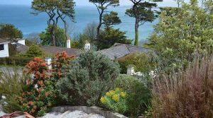 Αειθαλείς Θάμνοι Παραθαλάσσιων Περιοχών - Φυτά & Κήποι Κοντά στην Θάλασσα