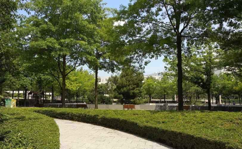 The White and Black Garden of Parc Andre Citroen - Inside the Black Garden