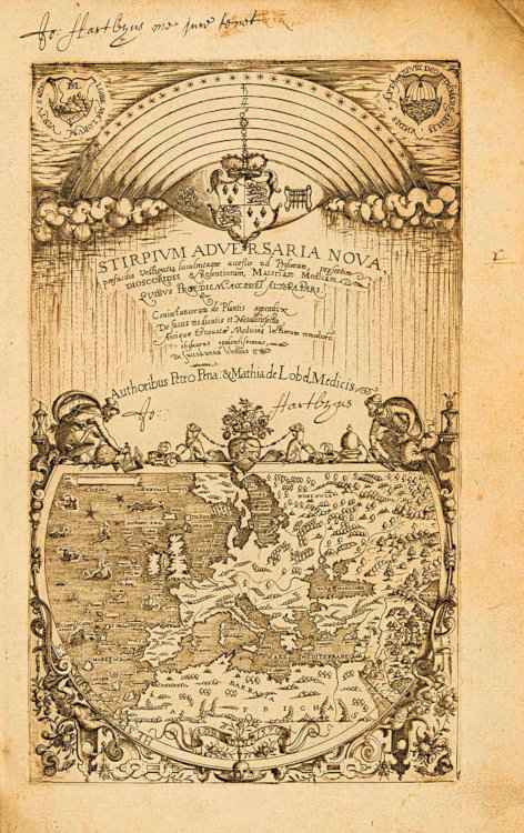 Ιστορία του Φυτού του Καπνού - Το Εξώφυλλο του Βιβλίου του Λομπέλιους (1571)