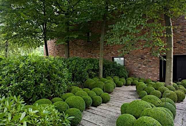 Modern Formal Hedge with Informal Multi Shaped Box Balls Planting Under Trees