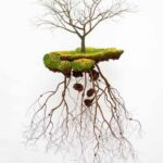 Jorge Mayet - &Chi;ό&rho;&chi;&epsilon; &Mu;&alpha;&gamma;έ&tau; 'Och&uacute;n' (2009)