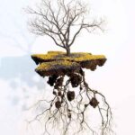 &Chi;ό&rho;&chi;&epsilon; &Mu;&alpha;&gamma;έ&tau; 'Untitled' (2009)