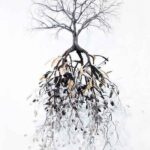 &Chi;ό&rho;&chi;&epsilon; &Mu;&alpha;&gamma;έ&tau; 'Cayendo Suave' (2008)