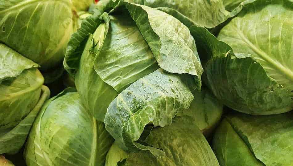 Well-formed Cabbage Heads on the Counter