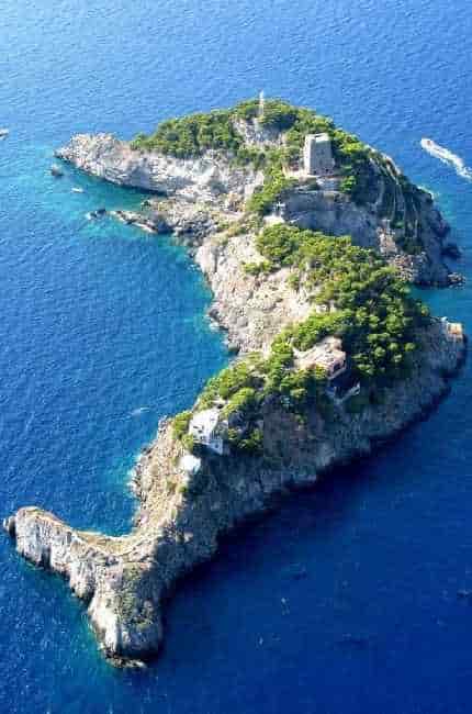 Κονβόλβουλος - Το Νησί Li Galli της Κεντρικής και Δυτικής Ιταλίας, ένα από τα Καταγωγικά Λίκνα του Κονβόλβουλου