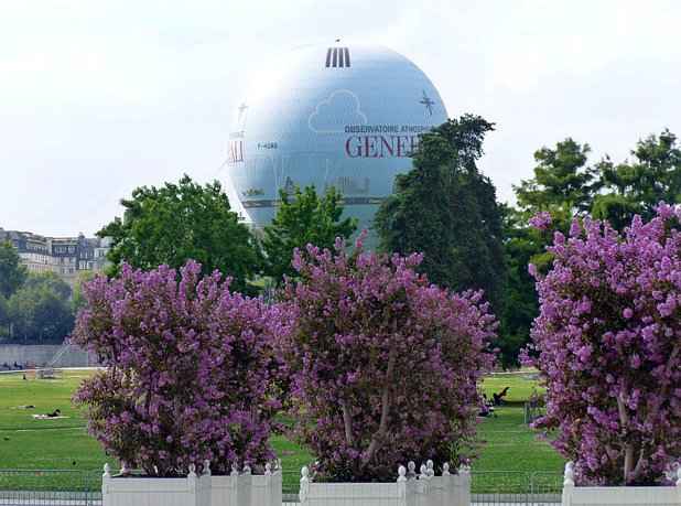 Πάρκο Andre Citroen - Γλάστρες με Λαγκεστρέμιες και στο Βάθος το Μπαλόνι