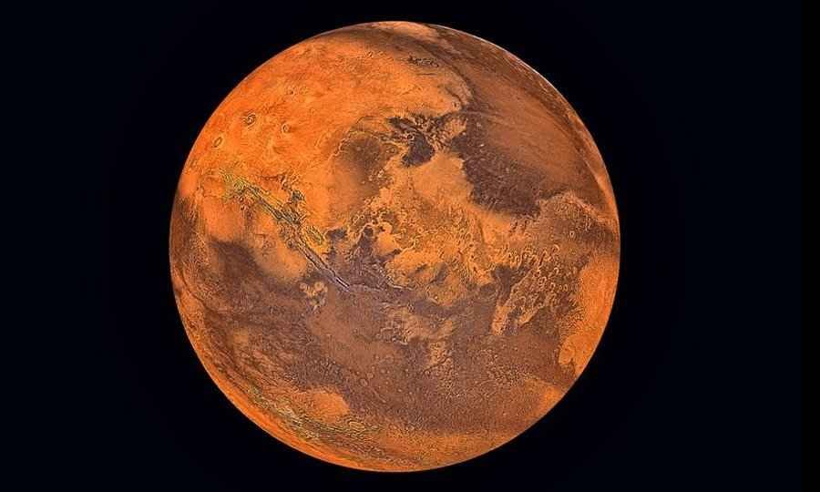 Headed Cabbage Soil Requirements - It May Look Like it, but it's not A Cabbage: The Planet Mars